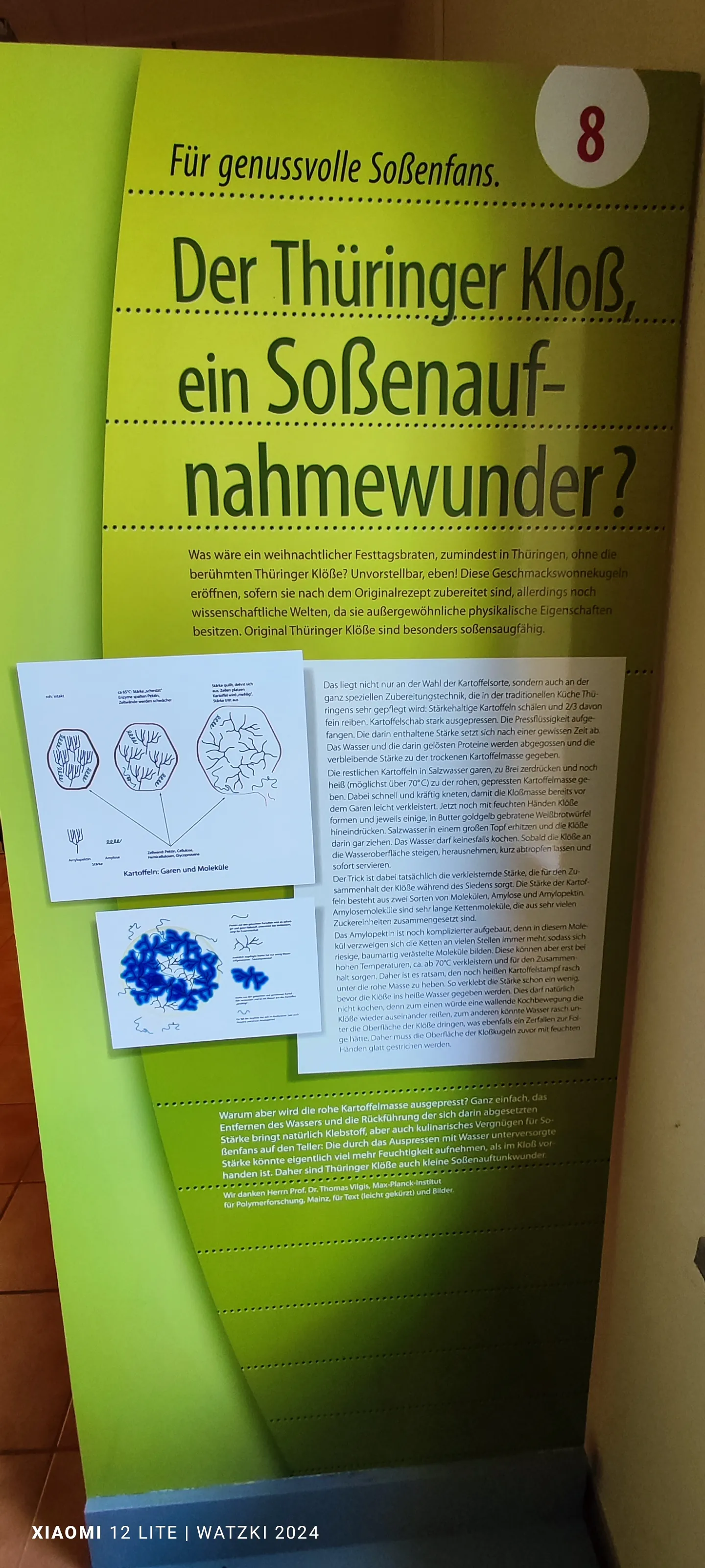 ./HeimatJubi/89_Heimatverein Vippachedelhausen im Klosmuseum 2025_ergebnis.webp